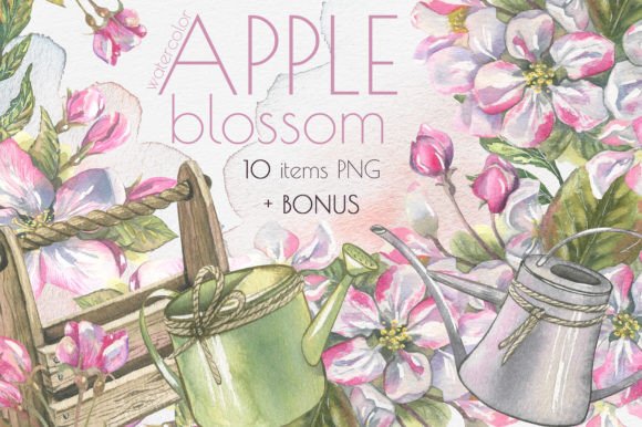Apple Blossom Clip Art Watercolor Brings Gentle Elegance to Design Projects