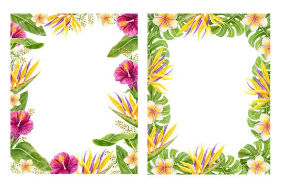 Tropical Frames Clipart. Watercolor PNG