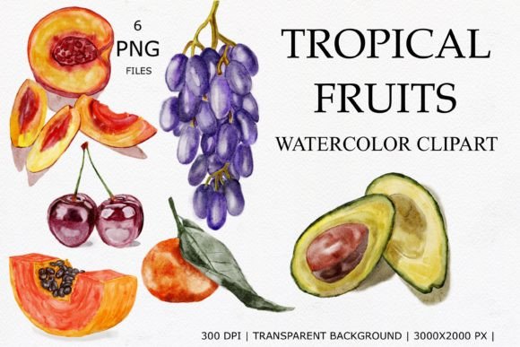 Tropical Fruits Watercolor Clipart for Creatives