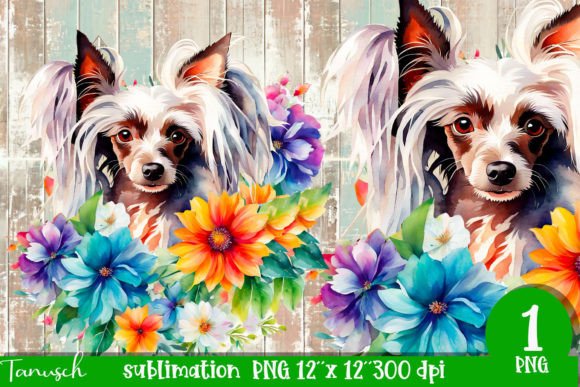 Watercolor Chinese Crested Sublimation: A Creative Asset for Modern Design