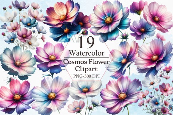 Watercolor Cosmos Flower Clipart