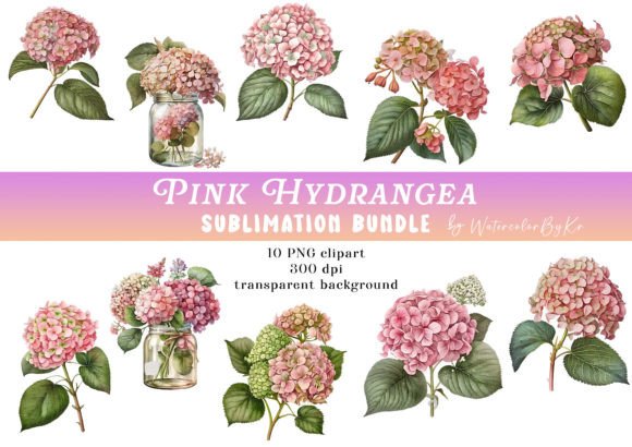 Watercolor Pink Hydrangea Bundle Clipart